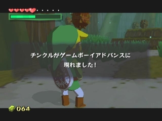 zelda07gspy.jpg